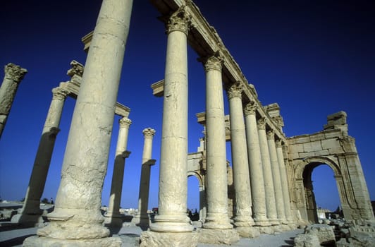 The ruins of Palmyra in the Weste Faydat in Syria in the Middle East in Arabia.