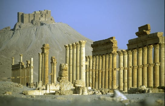 The ruins of Palmyra in the Weste Faydat in Syria in the Middle East in Arabia.