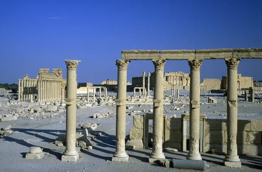 The ruins of Palmyra in the Weste Faydat in Syria in the Middle East in Arabia.