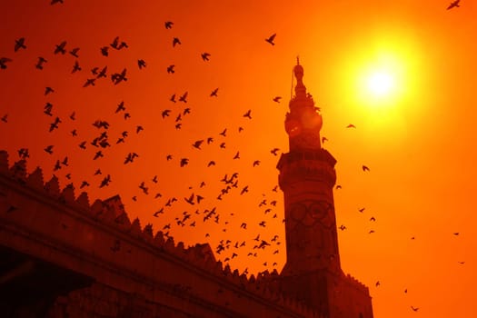 Asien, Naher Osten, Syrien, Damaskus,   Der Innenhof der  Omaijad Moschee im Souq und Altstadt von Damaskus in der Hauptstadt von Syrien.