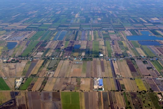 Agriculture on the outskirts of the city of Bangkok in Thailand in South East Asia.