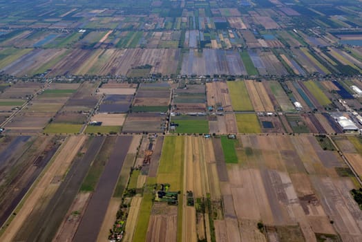 Agriculture on the outskirts of the city of Bangkok in Thailand in South East Asia.