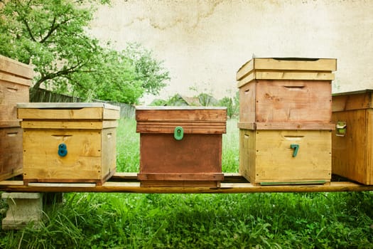 Vintage photo of bee hives in the field