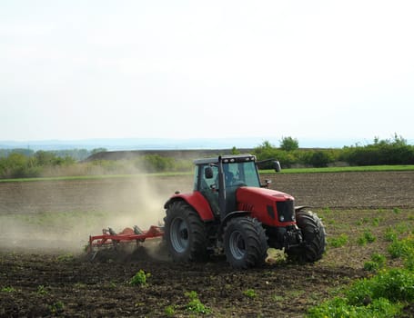 Tractor processes the field
