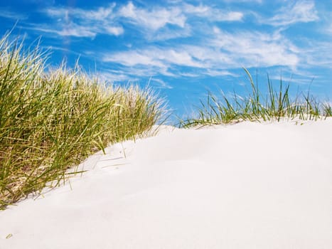 Dune on the Baltic Sea