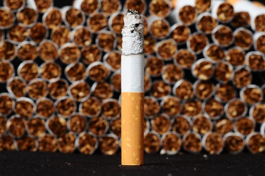 Close-up of Tobacco Cigarettes Background or texture