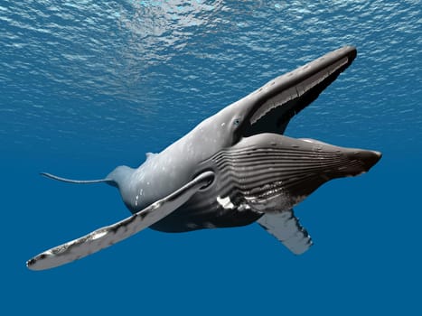 Computer-generated 3D illustration with a humpback whale
