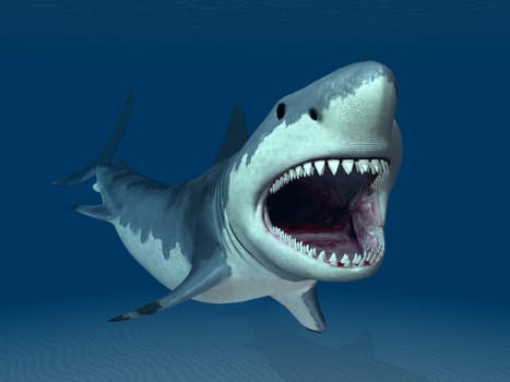 Computer-generated 3D illustration with a great white shark