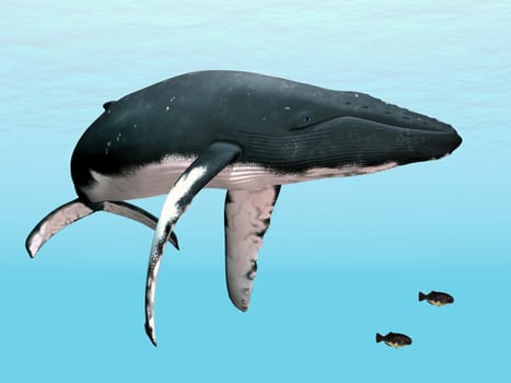 Computer-generated 3D illustration with a humpback whale