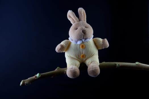 Furry, cuddly, lovable little rabbit toy sat on a green branch, isolated over black background
