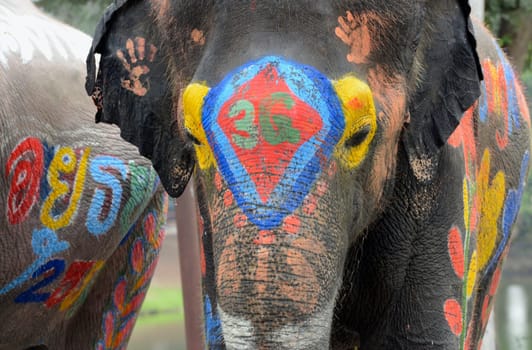 The Songkran Festival or Thai New Year's Water Festival is in full swing in Ayutthaya,Thailand,in South East Asia.