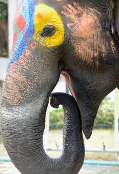 The Songkran Festival or Thai New Year's Water Festival is in full swing in Ayutthaya,Thailand,in South East Asia.