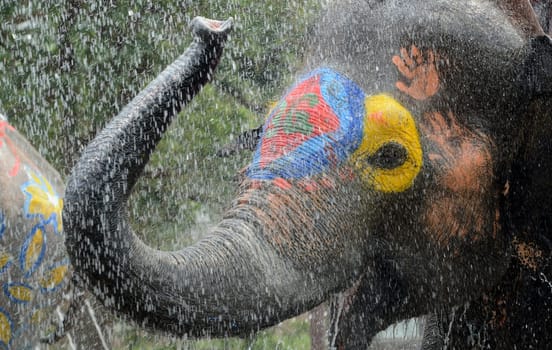 The Songkran Festival or Thai New Year's Water Festival is in full swing in Ayutthaya,Thailand,in South East Asia.