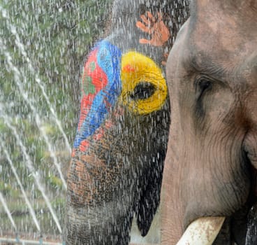The Songkran Festival or Thai New Year's Water Festival is in full swing in Ayutthaya,Thailand,in South East Asia.
