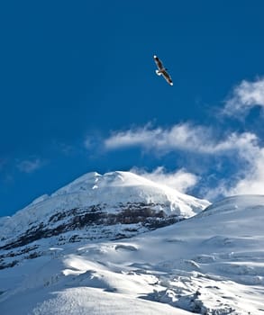 Cotopaxi - The highest active volcano at 5.897 m. Cotopaxi is the volcanic centrepiece of the National Park with the same name, situated in the Andean Highlands of Ecuador.