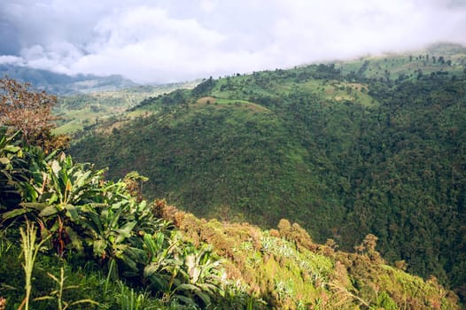 Ecuador as it is