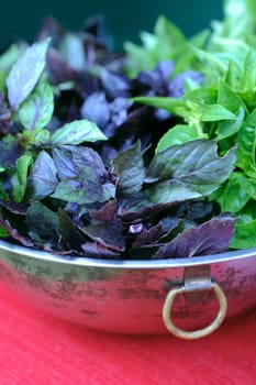 Just picked Basil in the vintage bowl