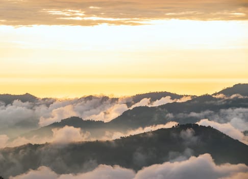 Andes, Bolivar Province, Ecuador, near the inactive stratovolcano Chimborazo in Reserva de Produccion Faunistica Chimborazo, in the Cordillera Occidental