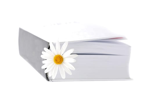 Summer belletristic. Book and daisy as a bookmark.