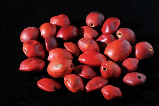 Colored Round Seeds Ready to make Handmade Jewelry