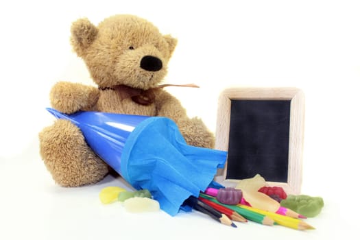 Teddy with school bag and blackboard