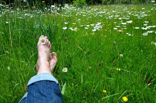 Feet in flower meadow
