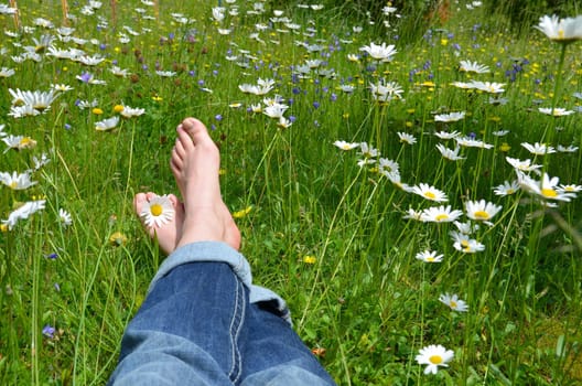 Feet in flower meadow