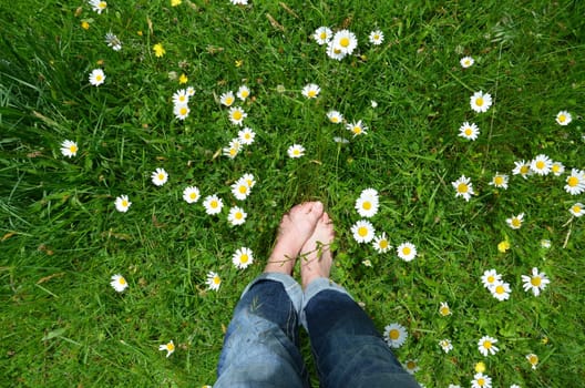 Feet in flower meadow