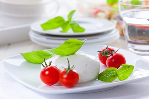 Mozzarella with tomato and basil