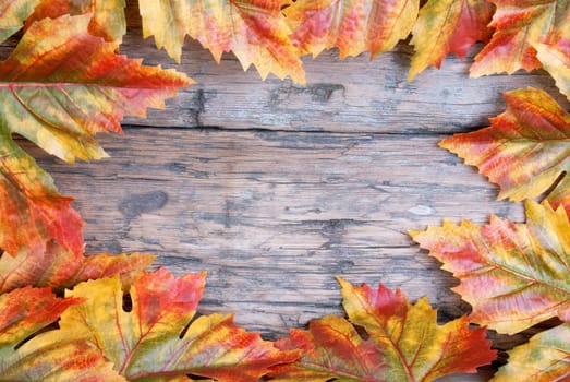 A Frame of Colorful Maple Leaves on Wood with Copy Space in the Middle