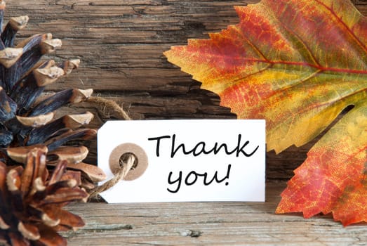 Fall Background with the Words Thank You on it