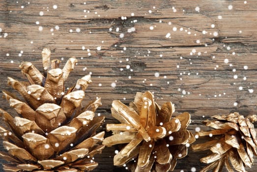 Golden Fir Cones on Wood with Copy Space and Snow