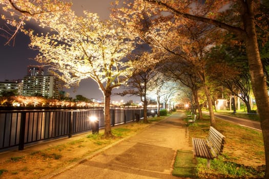 Fall season of kyoto, Japan