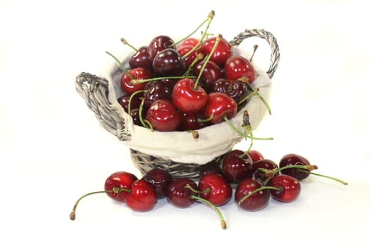 red sweet cherries against a white background