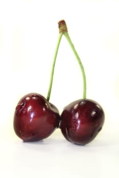 red sweet cherries against a white background