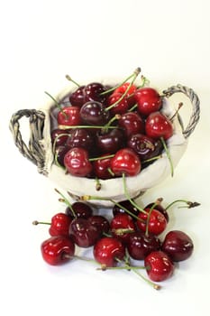 red sweet cherries against a white background
