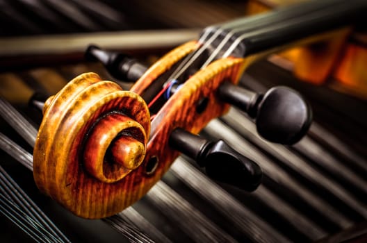 Close-up detail of violin head with string background
