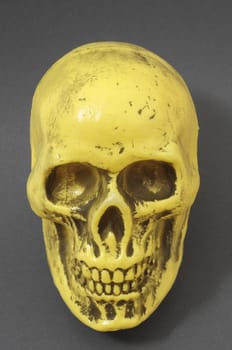 An Ancient Yellow Skull on a Colored Background