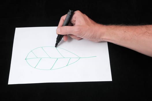 A Caucasian Male Hand Drawing on a White Paper