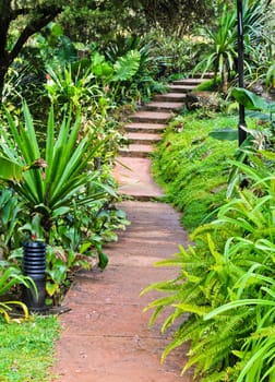 Garden pathway