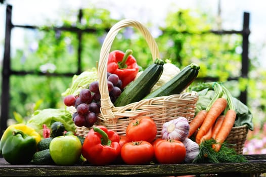 Fresh organic vegetables in wicker basket in the garden.