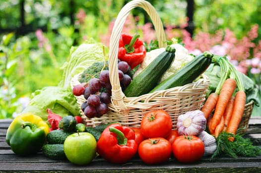 Fresh organic vegetables in wicker basket in the garden.
