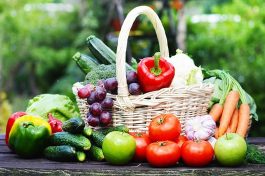 Fresh organic vegetables in wicker basket in the garden.