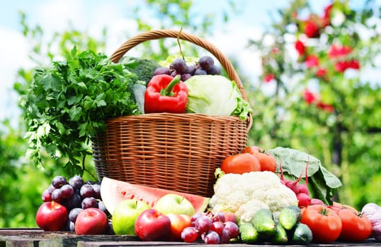 Fresh organic vegetables in wicker basket in the garden.