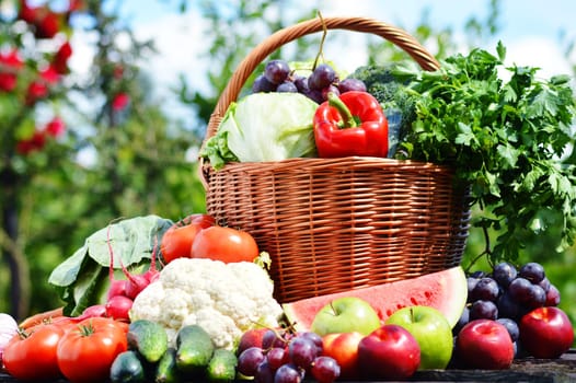 Fresh organic vegetables in wicker basket in the garden.