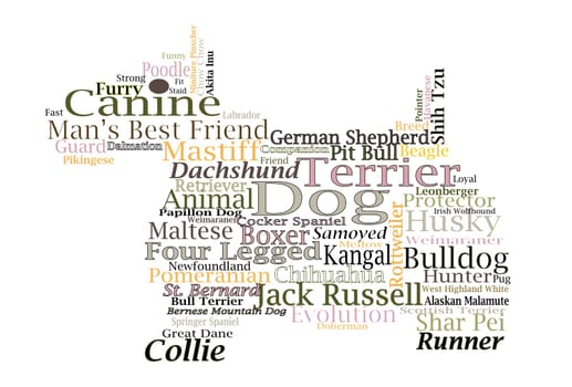 Words stacked on a white background about dogs and dog breeds