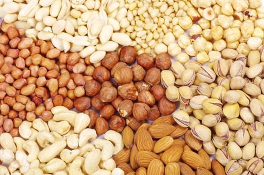 various nuts on a background
