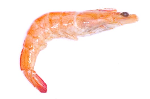 shrimp isolated on a white background