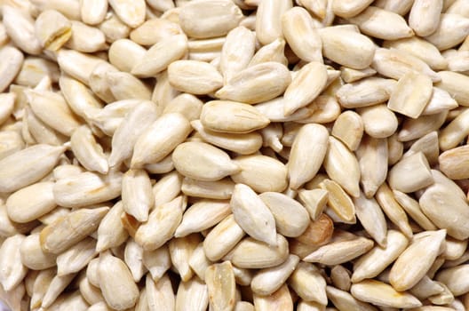 roasted sunflower seeds close up