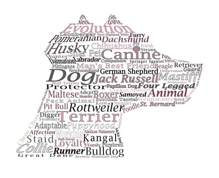 Words stacked on a white background about dogs and dog breeds